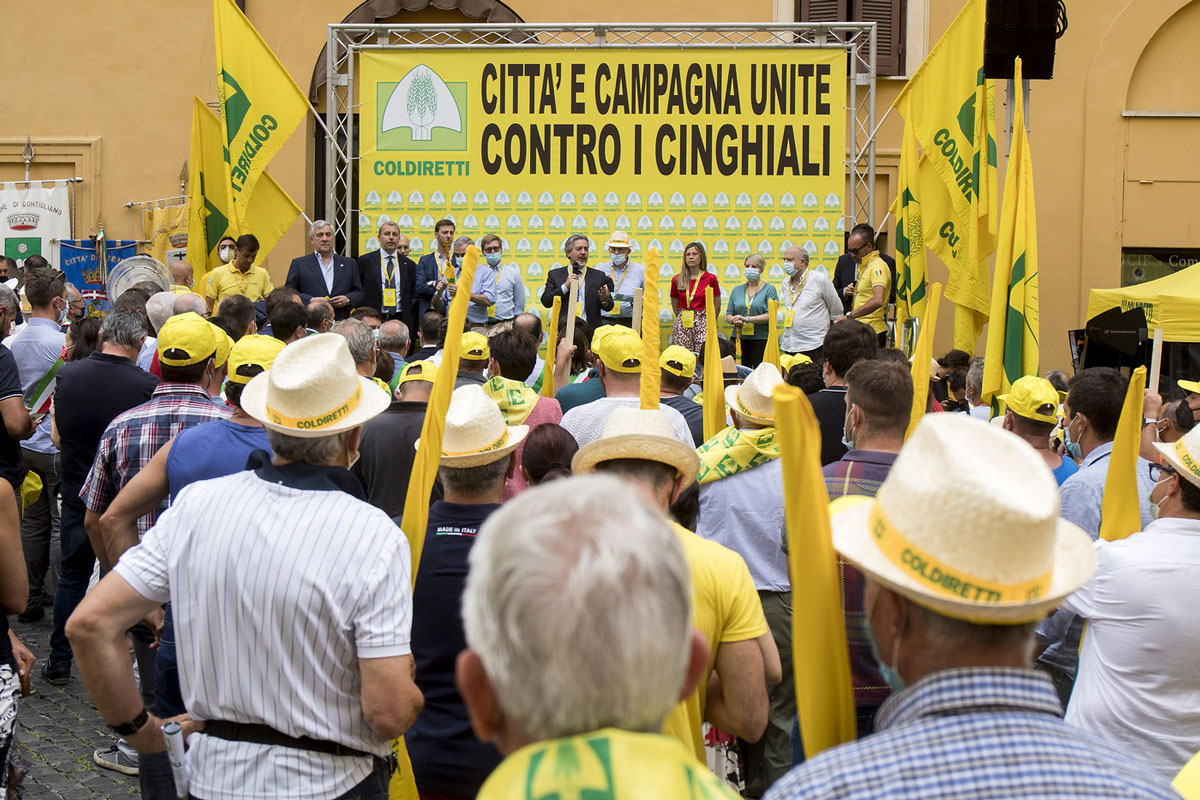 Cinghiali da abbattere: Wwf e Lipu contro il Ministero: “In mano ai cacciatori