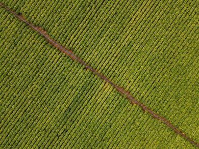 Philip Morris Italia e l’arma dei Carabinieri: accordo per la legalità