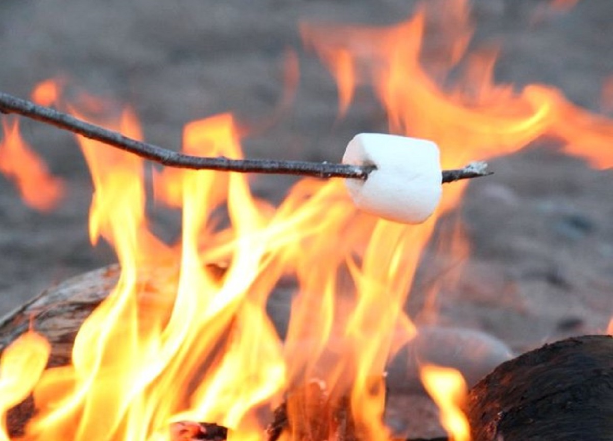 Preparano marshmallow alla festa dell’asilo: 5 bambini ustionati Preparano marshmallow alla festa dell’asilo: 5 bambini ustionati