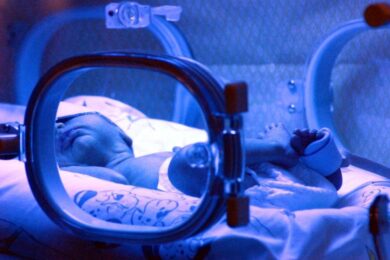 Modena, bimbo vola dalla finestra: la babysitter è accusata di omicidio