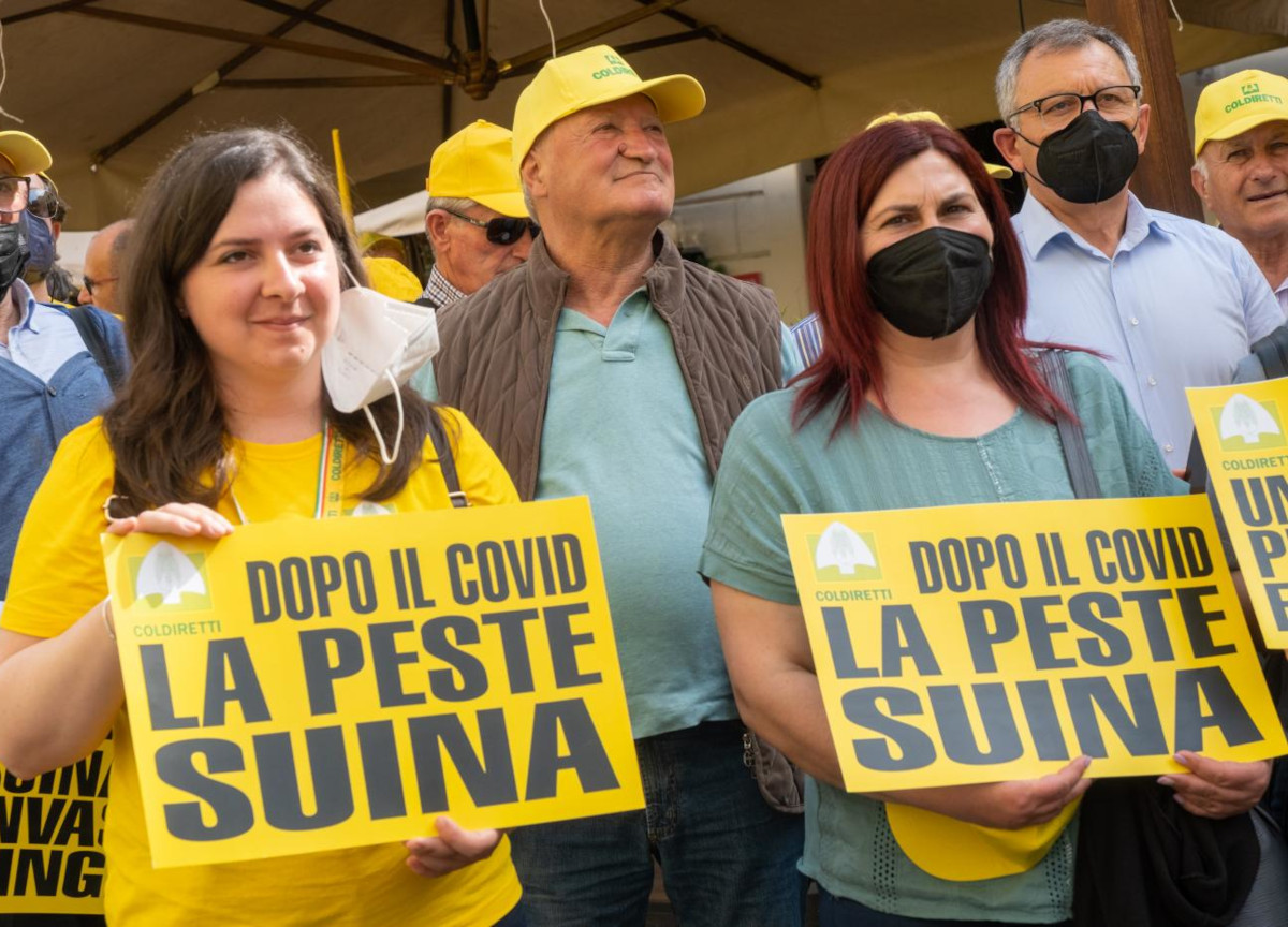 Peste suina, Piemonte e Liguria si uniscono. Rete anti-cinghiali lunga 260 km Peste suina, Piemonte e Liguria si uniscono. Rete anti-cinghiali lunga 260 km