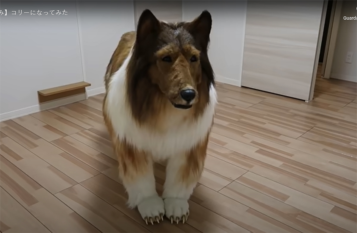 Spende 15.000 euro per “diventare” un cane: “Era il sogno di una vita” – VIDEO Spende 15.000 euro per “diventare” un cane: “Era il sogno di una vita” – VIDEO