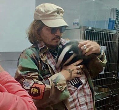 Johnny Depp festeggia la vittoria su Amber Heard… adottando un tasso!