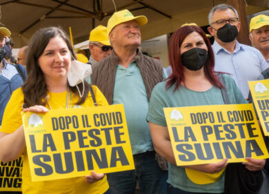 Cinghiali e peste suina, la mattanza: a Roma giustiziati 1000 capi in 5 giorni