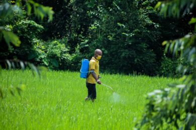 “L’Ue usa indicatori ingannevoli sui pesticidi”: scatta la denuncia