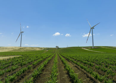 Edison, inaugurato il parco eolico di Mazara del Vallo