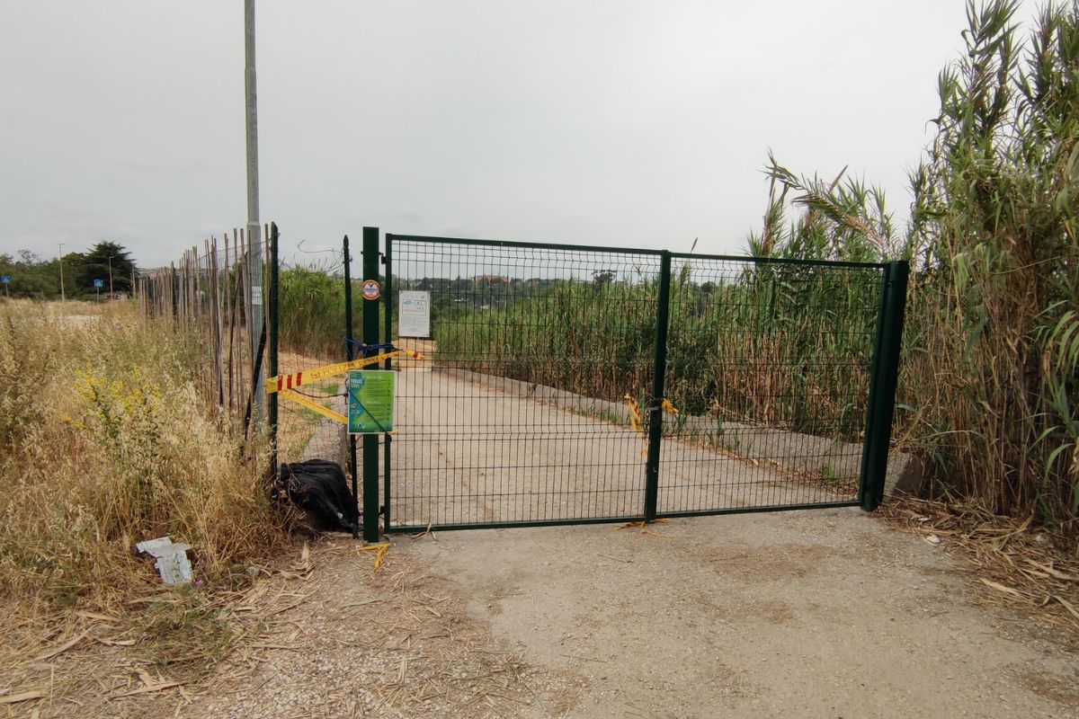 Tiberis, gli ecologisti contro la spiaggia di Gualtieri: “Inutile e costosa” Tiberis, gli ecologisti contro la spiaggia di Gualtieri: “Inutile e costosa”