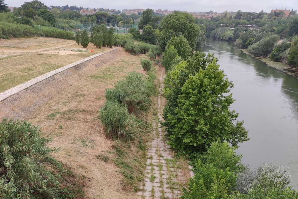 Tiberis, gli ecologisti contro la spiaggia di Gualtieri: “Inutile e costosa” Tiberis, gli ecologisti contro la spiaggia di Gualtieri: “Inutile e costosa”
