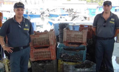 Taranto, sequestrate due tonnellate di cozze allevate in mare con diossina