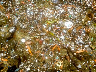 Le microplastiche negli oceani fanno aumentare il rischio di cancro