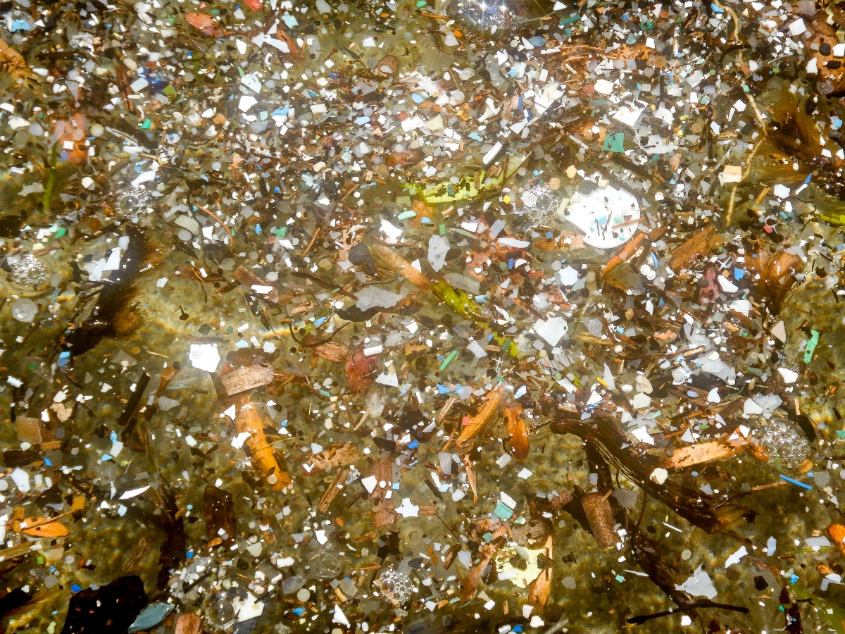 Le microplastiche negli oceani fanno aumentare il rischio di cancro Le microplastiche negli oceani fanno aumentare il rischio di cancro