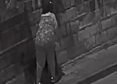 Lo lega a un palo e scappa: il vergognoso abbandono di un cagnolino. VIDEO