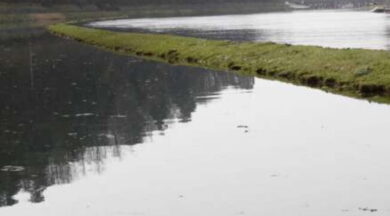 Parabiago, 13enne si tuffa in un canale: è morto in ospedale