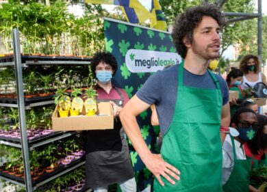 Cannabis-Santori, “sanzionano i comuni mortali, perché lui no?”. Esposto