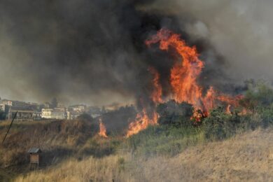 Origgio, incendio sull’A9: le fiamme si propagano fino ad aziende e abitazioni