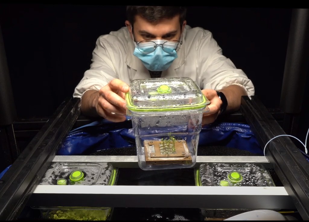 Il primo micro-orto lanciato nello spazio è interamente made in Italy