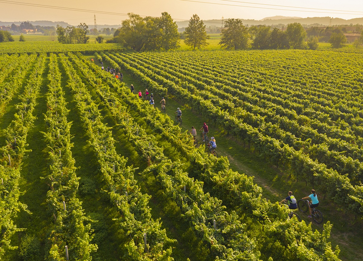 Franciacorta, al via il Festival tra vigneti e cantine Franciacorta, al via il Festival tra vigneti e cantine