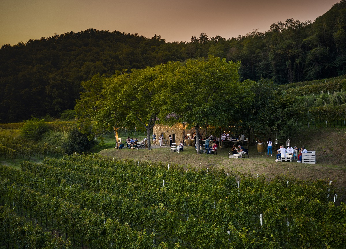 Franciacorta, al via il Festival tra vigneti e cantine Franciacorta, al via il Festival tra vigneti e cantine