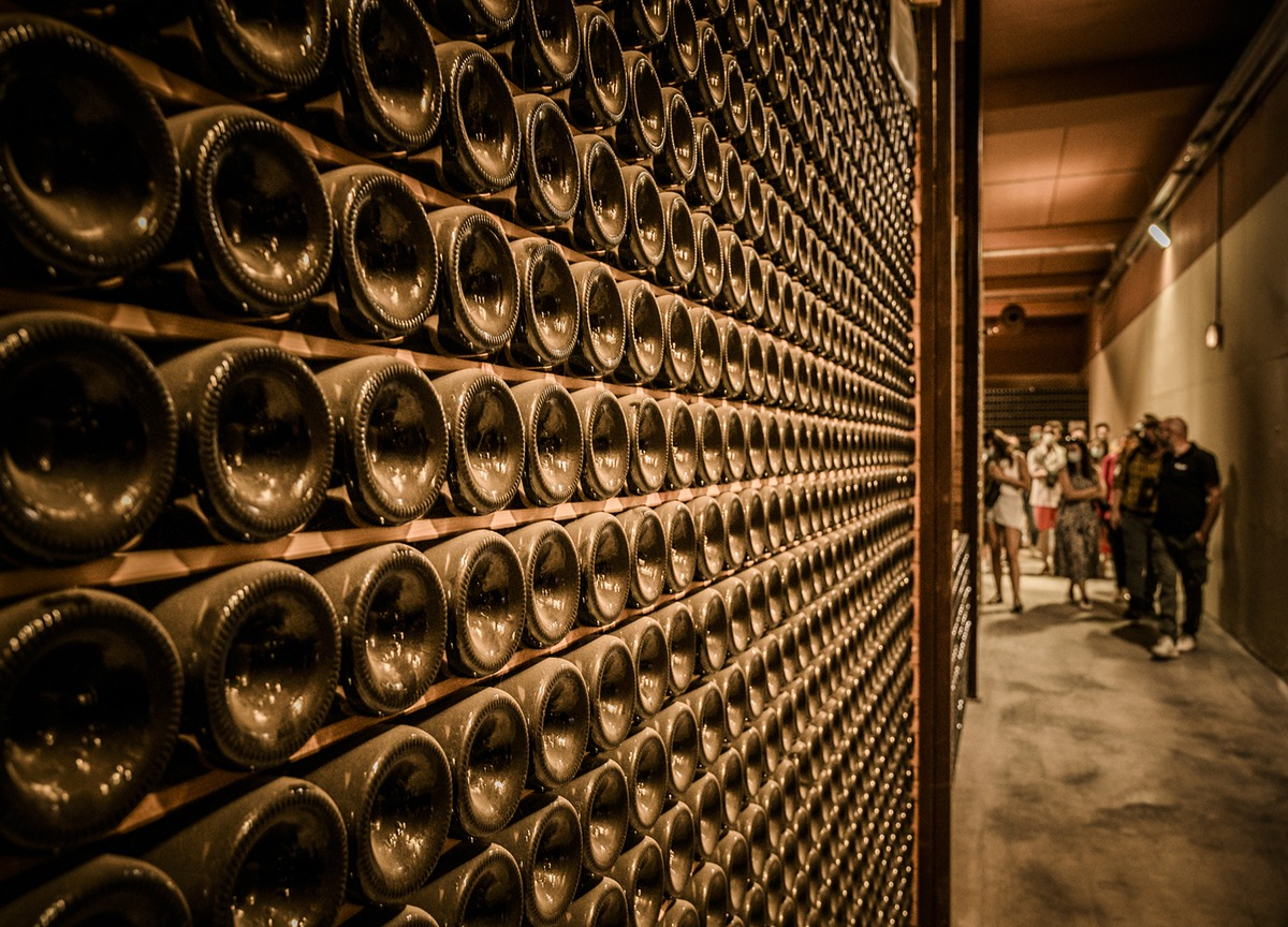 Franciacorta, al via il Festival tra vigneti e cantine Franciacorta, al via il Festival tra vigneti e cantine