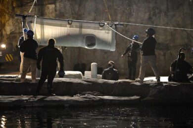 Francia, morto il beluga intrappolato nella Senna