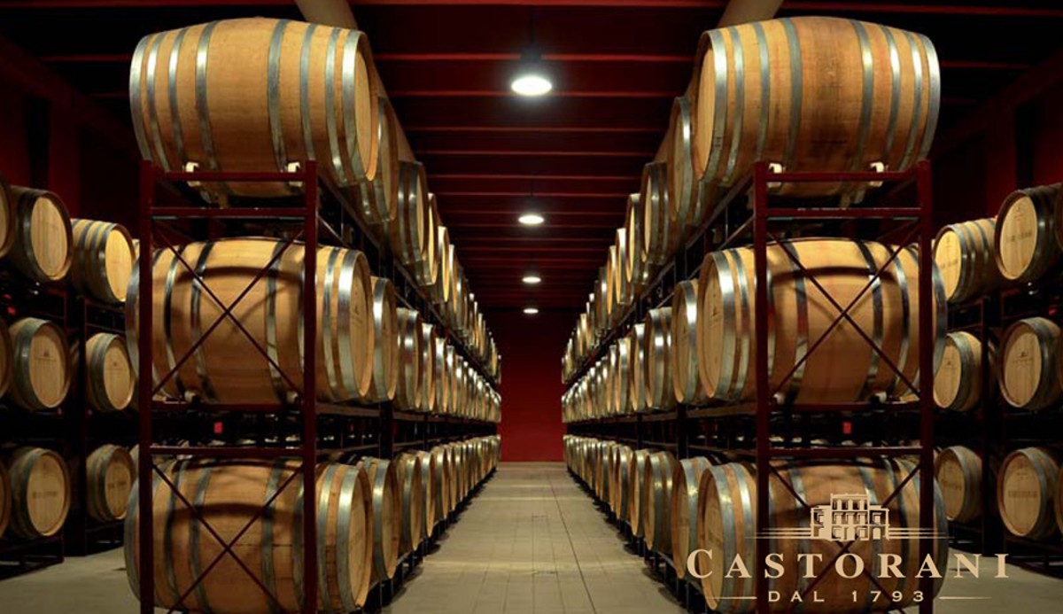 In una scuola di Fiumicino da quest’anno il vino diventerà materia di studio In una scuola di Fiumicino da quest’anno il vino diventerà materia di studio