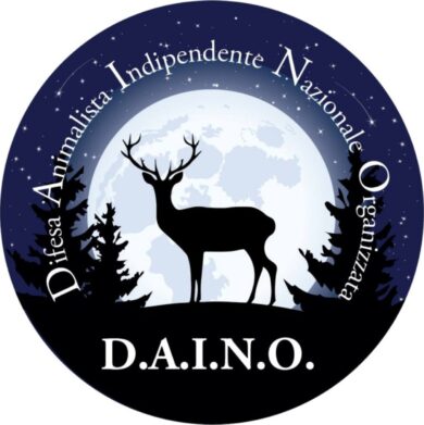 Elezioni 2022: i 10 simboli più strani, tra follia creativa, fede e arte