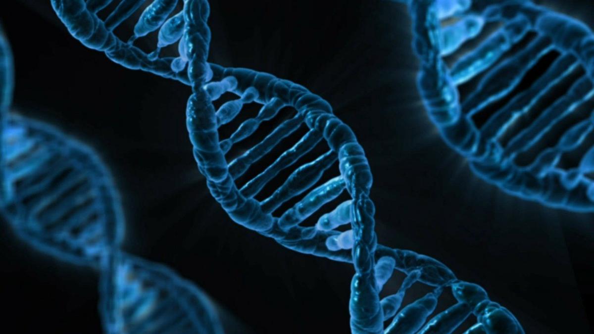 Il 50% dei tumori letali nel mondo provocato da fattori prevedibili Il 50% dei tumori letali nel mondo provocato da fattori prevedibili