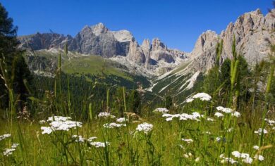 Precipita in un dirupo in Val di Fassa, muore escursionista milanese