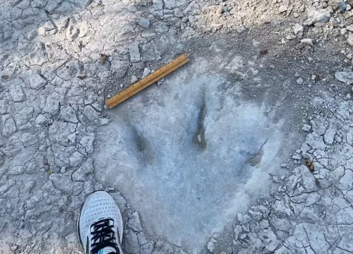 Siccità, si prosciuga un fiume in Texas. Spuntano le orme di un dinosauro