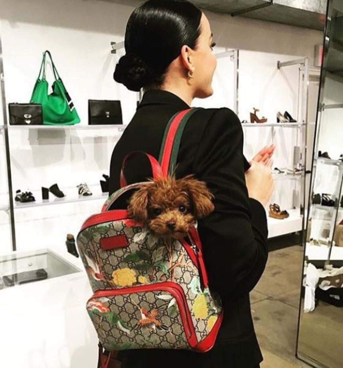 Giornata mondiale del cane, gli amici pelosi ci fanno stare meglio: 5 benefici Giornata mondiale del cane, gli amici pelosi ci fanno stare meglio: 5 benefici