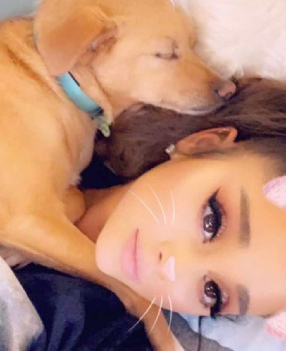 Giornata mondiale del cane, gli amici pelosi ci fanno stare meglio: 5 benefici Giornata mondiale del cane, gli amici pelosi ci fanno stare meglio: 5 benefici