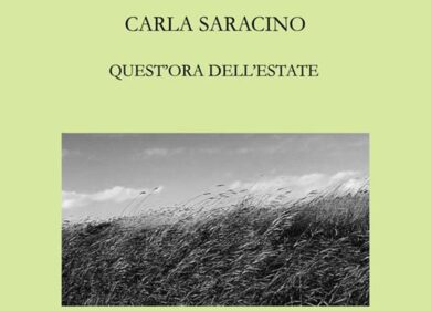 Quest’ora dell’estate. La recensione del libro di Carla Saracino