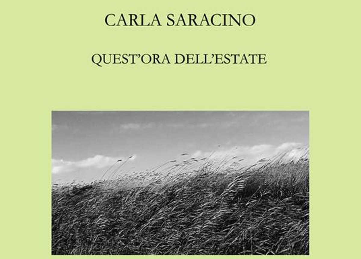 Quest’ora dell’estate. La recensione del libro di Carla Saracino Quest’ora dell’estate. La recensione del libro di Carla Saracino
