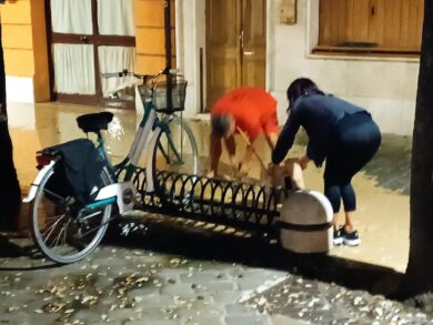 Alluvione Marche, i morti salgono a 11, due dispersi. Nuova allerta gialla