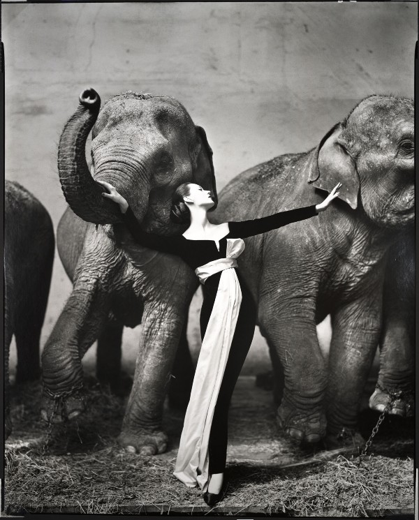 La mostra “Richard Avedon Relationships” inaugura la Fashion Week di Milano