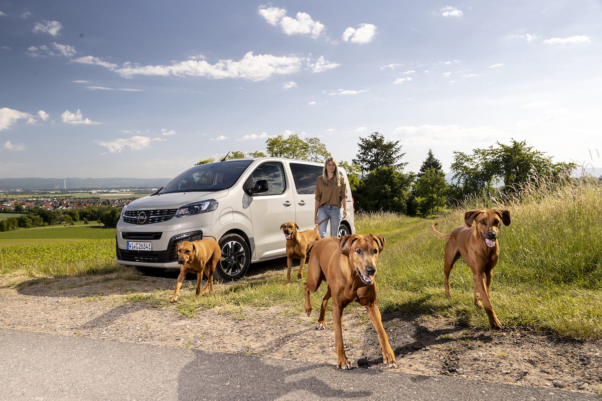 Opel Zafira-e Life, il salotto amato anche dagli amici animali