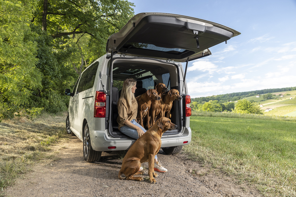 Opel Zafira-e Life, il salotto amato anche dagli amici animali