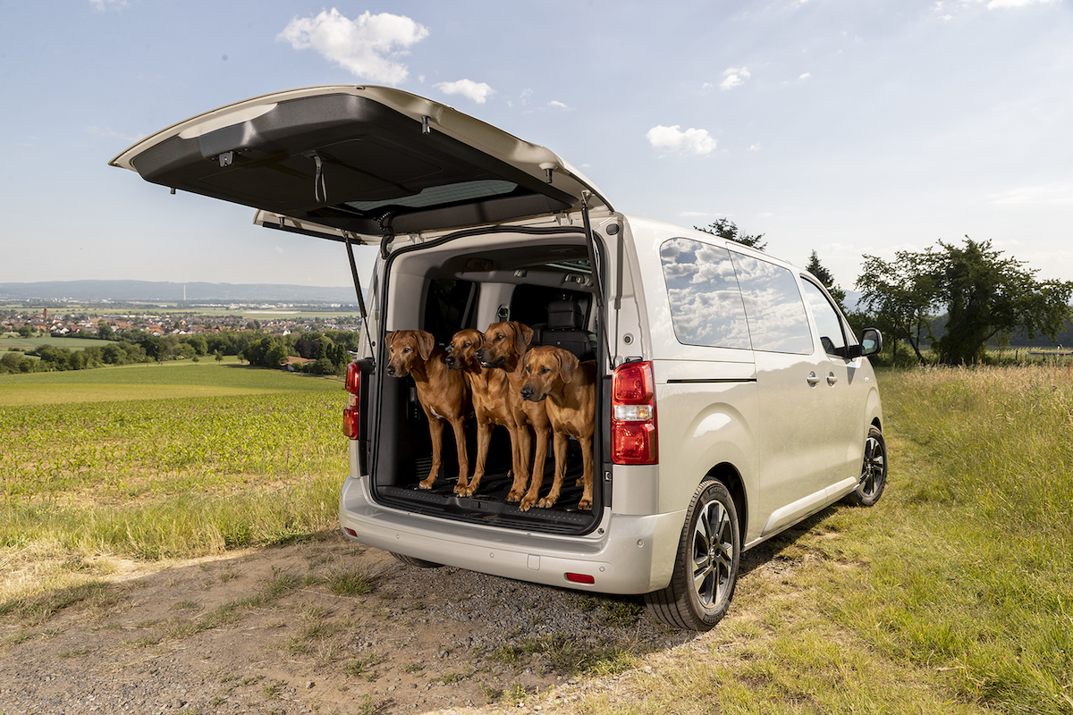 Opel Zafira-e Life, il salotto amato anche dagli amici animali