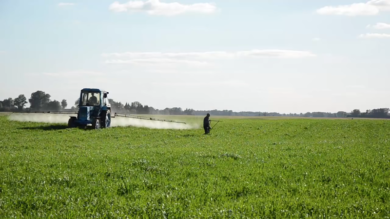 Glifosato, cambia il vento negli Stati Uniti – Il tg VERO GIORNALE