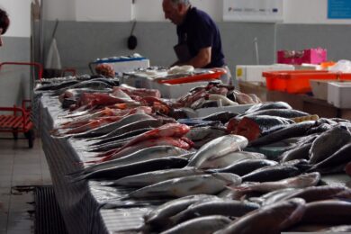 L’inflazione uccide le pescherie: crollano i consumi di famiglie e ristoranti