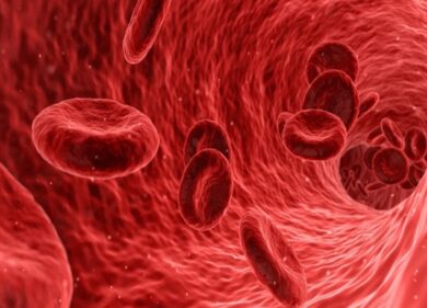 Dieta gruppo sanguigno 0: cos’è e come funziona