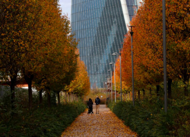 Più alberi, più vita, più salute. Piano da 6,6 mln di alberi da piantare