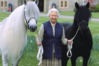 Re Carlo III vende i cavalli amati da Elisabetta II, all’asta 12 campioni