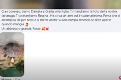 Il figlio ha un tumore, la madre sui social: “Scrivetegli una lettera per distrarlo”