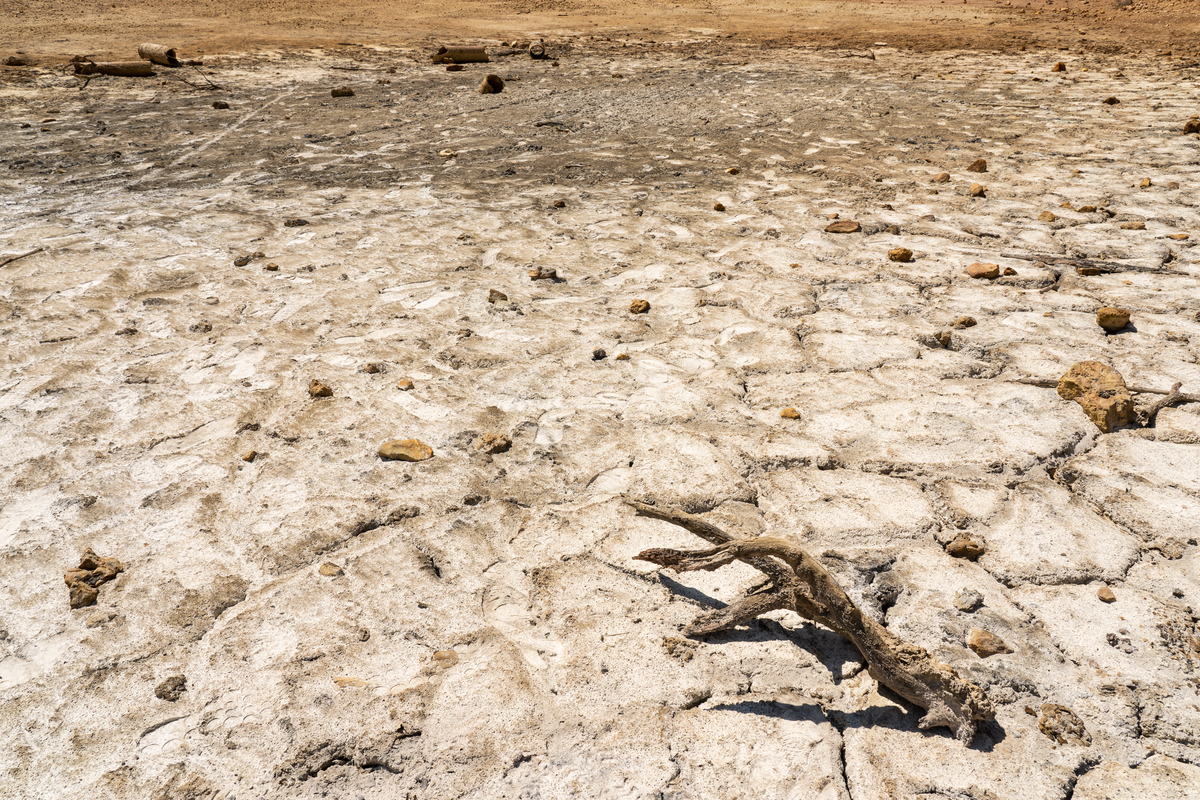 L’Italia sta diventando un deserto, arriva la guida-choc – FOTO