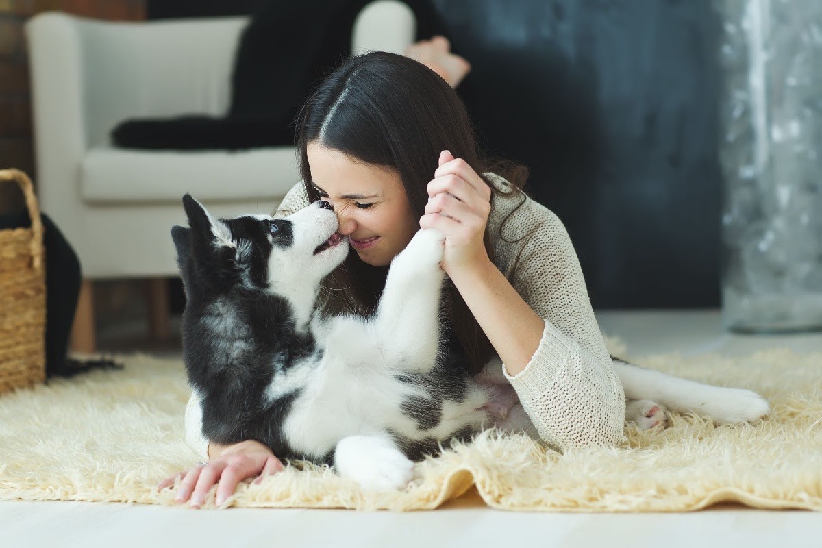 Anche i cani sono stressati. I suggerimenti degli esperti