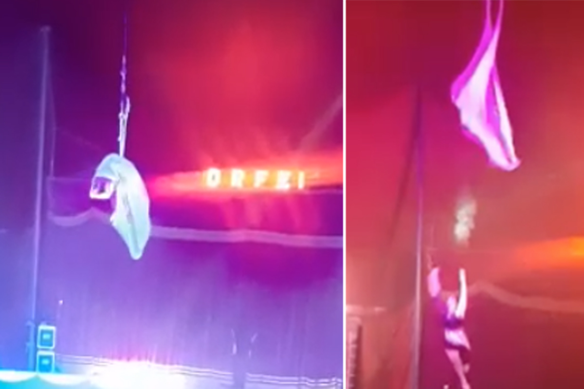 Incidente Circo Orfei, la trapezista cade da 4 metri e si frattura il cranio Incidente Circo Orfei, la trapezista cade da 4 metri e si frattura il cranio
