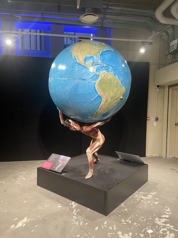 Grandi Stazioni Retail, al via la mostra “Body Worlds”