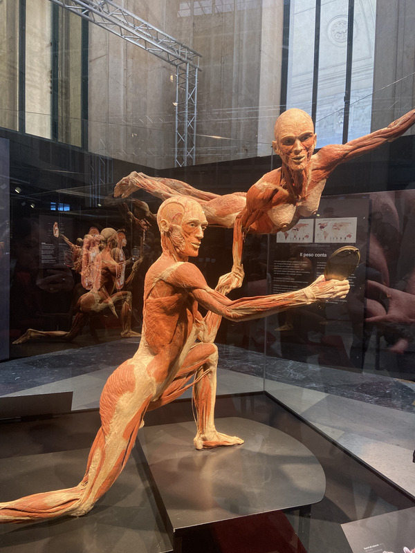 Grandi Stazioni Retail, al via la mostra “Body Worlds”