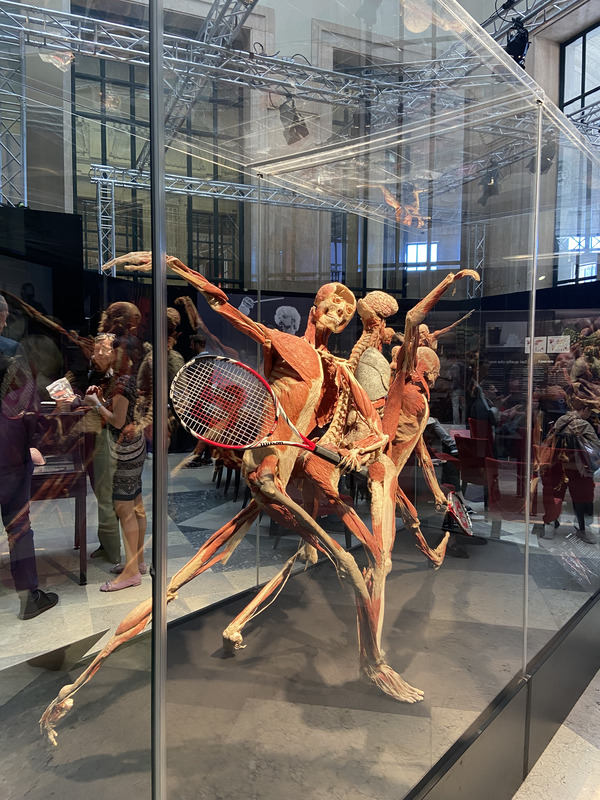 Grandi Stazioni Retail, al via la mostra “Body Worlds”
